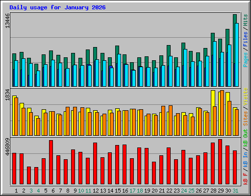 Daily usage for January 2026
