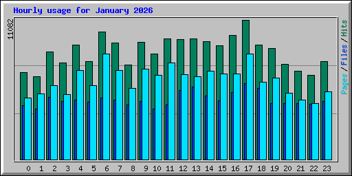 Hourly usage for January 2026