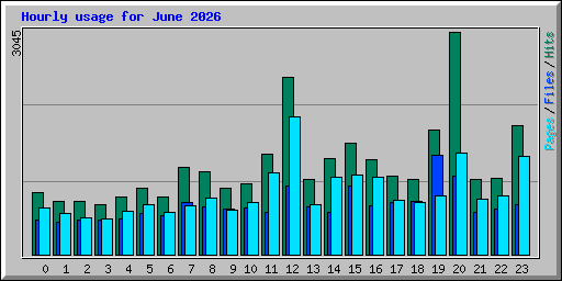 Hourly usage for June 2026