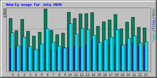 Hourly usage for July 2026