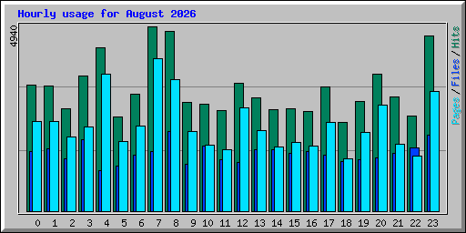 Hourly usage for August 2026